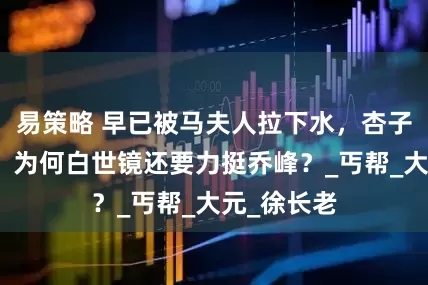 易策略 早已被马夫人拉下水，杏子林事件中，为何白世镜还要力挺乔峰？_丐帮_大元_徐长老
